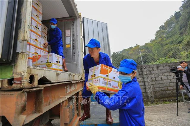 Các công nhân của Công ty TTHH MTV Cao Phong vận chuyển sản phẩm quả cam Cao Phong đã đóng hộp lên container chuẩn bị xuất khẩu sang thị trường Vương Quốc Anh