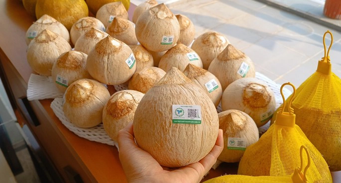 Các thị trường cao cấp đòi hỏi dừa tươi phải có chứng nhận, truy xuất nguồn gốc