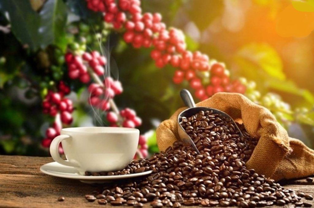 Thị trường xuất khẩu cà phê Việt