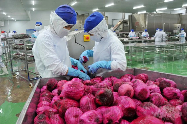 Xuất khẩu rau quả Việt Nam dự báo cán mốc 4 tỷ USD trong năm nay