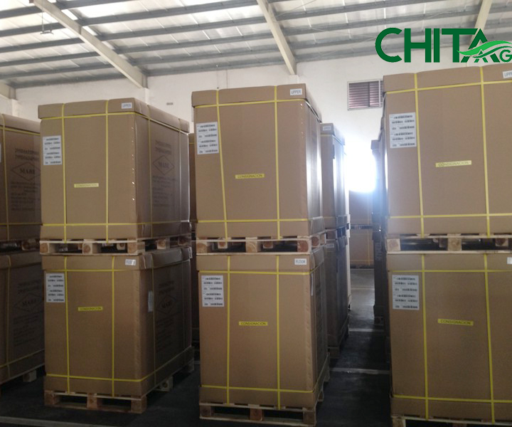 7 Tiêu Chí Chọn Dây Đai Pallet Cho Doanh Nghiệp Đóng Gói Và Xuất Khẩu