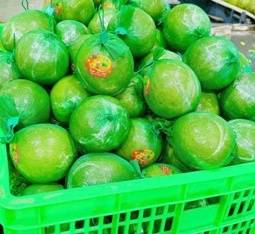 Túi lưới nhựa Chita Agri – Giải pháp đóng gói lý tưởng cho mọi loại trái cây