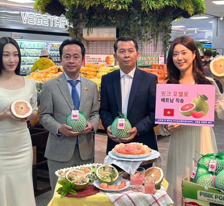 Bất ngờ giá bưởi Việt Nam bán trên kệ siêu thị Hàn Quốc