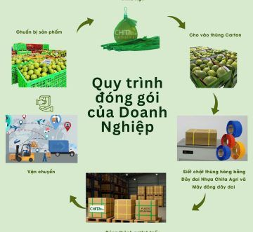 Chuẩn bị nông sản để giao cho siêu thị – Tiêu chuẩn và mẹo nhỏ doanh nghiệp cần biết