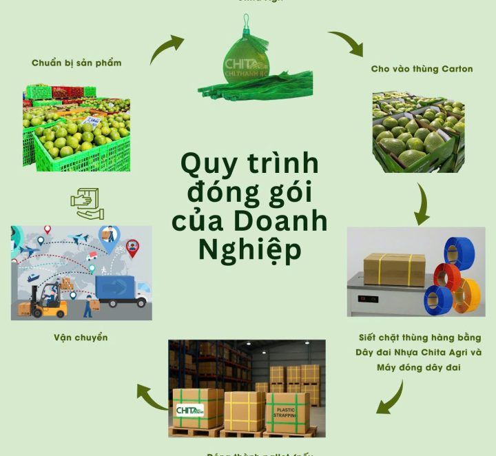 Chuẩn bị nông sản để giao cho siêu thị – Tiêu chuẩn và mẹo nhỏ doanh nghiệp cần biết