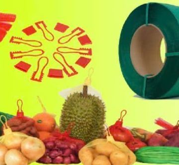Khép kín quy trình – Mở lối thành công: 5 sản phẩm chủ lực từ Chí Thành BC