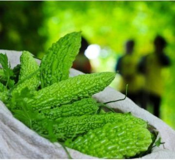 Túi lưới nhựa đựng khổ qua – Giải pháp bao bì tươi ngon cho nông sản