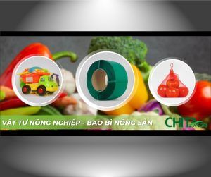 Công ty Nhựa Chí Thành BC – giải pháp bao bì nhựa chuyên nghiệp cho khách hàng