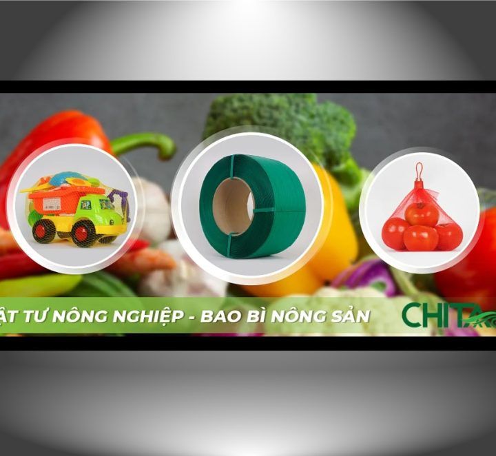 Catalogue sản phẩm Chita Agri – Thương hiệu túi lưới nhựa & dây đai nhựa chất lượng tại Việt Nam