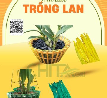 Túi lưới trồng lan – Bí quyết giúp Nhà vườn chăm sóc lan hiệu quả, hoa nở đẹp