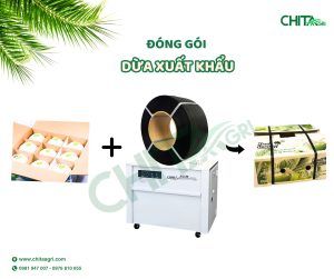 Dây đai nhựa Chita Agri - Lựa chọn tối ưu đóng gói dừa xuất khẩu.