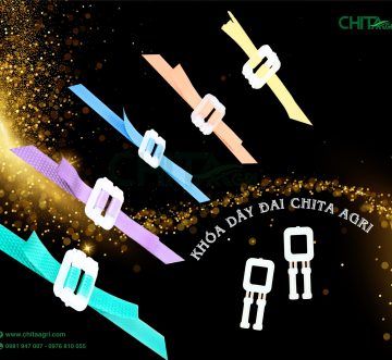 Bọ nhựa siết dây đai là gì? Cách sử dụng đúng để đóng gói chắc – gọn – tiết kiệm