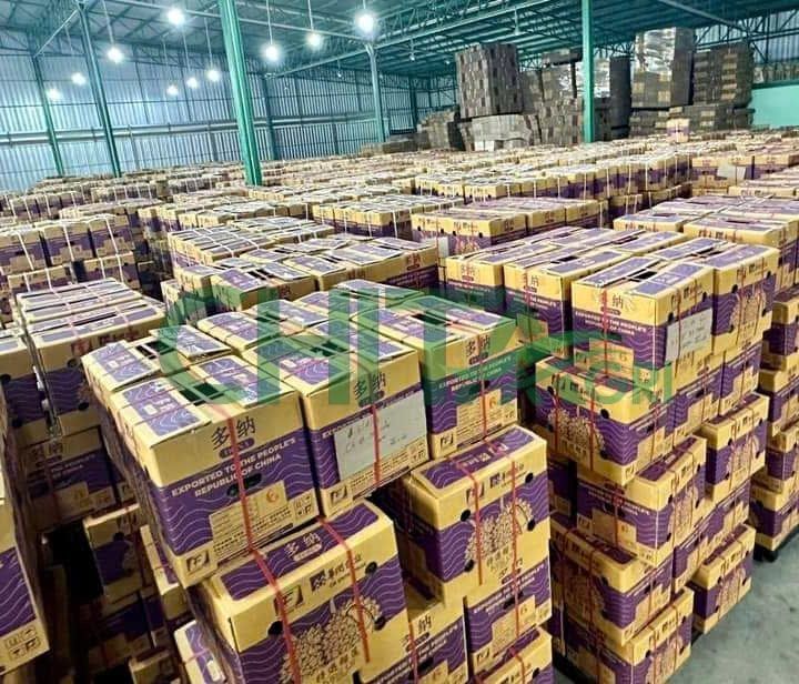 Xu Hướng Lựa Chọn Công Ty Sản Xuất Dây Đai Nhựa Của Doanh Nghiệp Hiện Nay