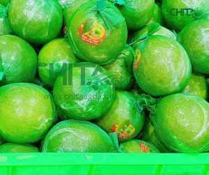 Túi lưới đựng bưởi Chita Agri – Uy tín chất lượng giá tốt