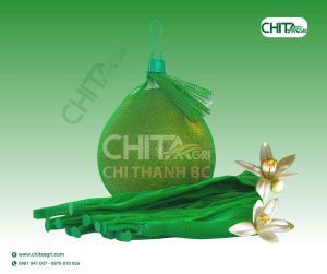 Túi lưới đựng bưởi Chita Agri – Uy tín chất lượng giá tốt