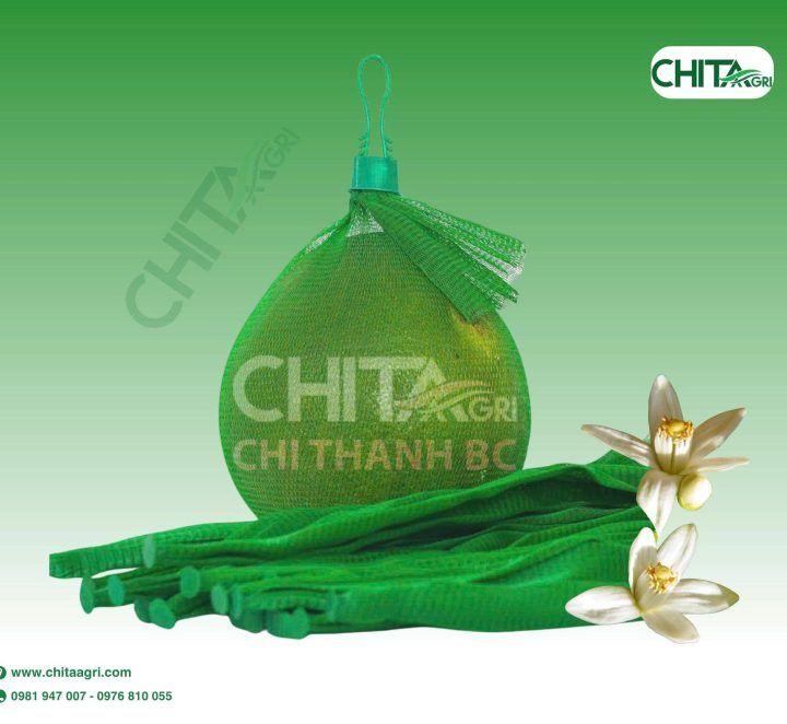 Hướng dẫn lựa chọn túi lưới đựng bưởi phù hợp cho từng loại bưởi