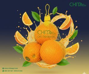 Túi lưới đóng cam Chita Agri chất lượng tại Việt Nam