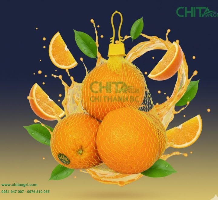 Các loại túi lưới nhựa phổ biến để đóng gói CAM: Kích Thước & Màu Sắc