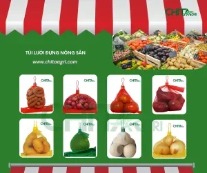 túi lưới đựng nông sản Chita Agri – giải pháp đóng gói rau củ quả cho siêu thị & xuất khẩu