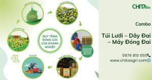 Combo Chita Agri: Túi Lưới – Dây Đai – Máy Đóng Đai từ Nhựa Chí Thành BC
