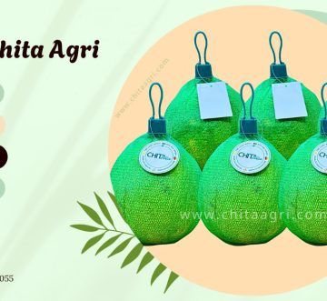 Nâng Cao Giá Trị Nông Sản Với Combo Túi – Khóa – Tag – Dây Treo Chita Agri: Tối Ưu Từ Hình Ảnh Đến Trải Nghiệm Người Tiêu Dùng