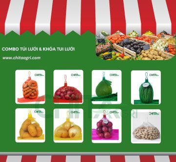 Vì Sao Doanh Nghiệp Ngày Càng Chú Trọng Đóng Gói Đồng Đều?