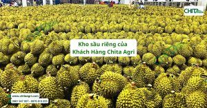 Kho sầu riêng của Khách hàng Chita Agri