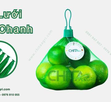 Túi lưới đựng chanh – Xu hướng bao bì giúp bảo quản chanh tươi lâu, nâng tầm trưng bày siêu thị và xuất khẩu