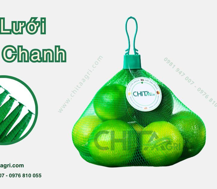 Túi lưới đựng chanh – Xu hướng bao bì giúp bảo quản chanh tươi lâu, nâng tầm trưng bày siêu thị và xuất khẩu