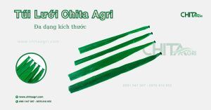 Túi lưới đựng trái cây Chita Agri giúp bảo quản tươi lâu, nâng tầm trưng bày siêu thị và xuất khẩu. Sản phẩm chất lượng cao, uy tín từ Nhựa Chí Thành BC.