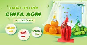 3 Màu Túi Lưới “HOT” Nhất Mùa Thu Hoạch – Thu Hút Khách Hàng Bằng Thị Giác