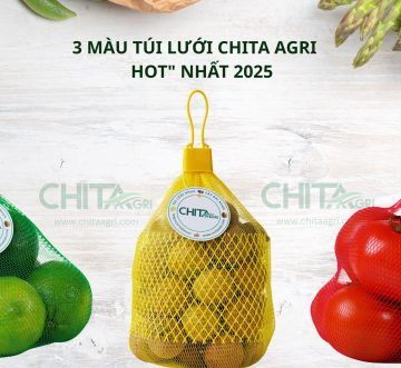 3 Màu Túi Lưới “HOT” Nhất Mùa Thu Hoạch 2025 – Thu Hút Khách Hàng Bằng Thị Giác