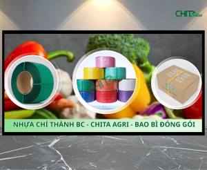 Công ty sản xuất dây đai nhựa Chí Thành BC được nhiều nhà vườn, hợp tác xã, doanh nghiệp logistics và xuất khẩu lựa chọn