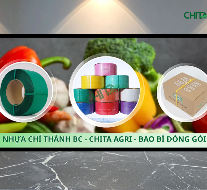 Nhựa Chí Thành BC – Công ty sản xuất dây đai nhựa uy tín cho doanh nghiệp đóng gói
