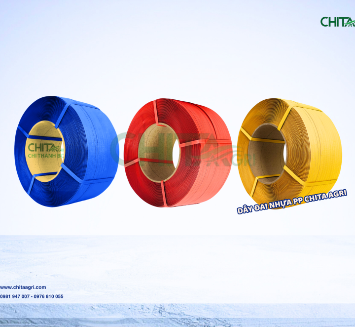 Phân Tích Xu Hướng Ứng Dụng Dây Đai Nhựa PP Trong Hoạt Động Bán Lẻ Hiện Đại