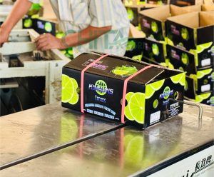 Với khả năng tương thích tốt với máy đóng đai, dây đai nhựa Chita Agri giúp tối ưu hiệu suất đóng gói trong vận hành công nghiệp.