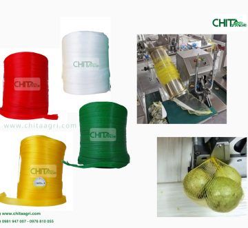 Lưới Quấn Cuộn L200 Là Gì? Ứng Dụng Trong Đóng Gói Nông Sản