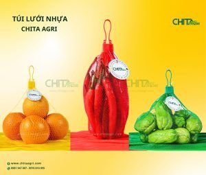 Túi lưới nhựa Chita Agri từ Nhựa Chí Thành BC– An toàn tiếp xúc thực phẩm và thân thiện môi trường