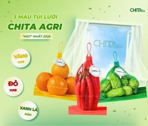 Túi lưới PP nguyên sinh Chita Agri từ Nhựa Chí Thành BC– An toàn tiếp xúc thực phẩm và thân thiện môi trường