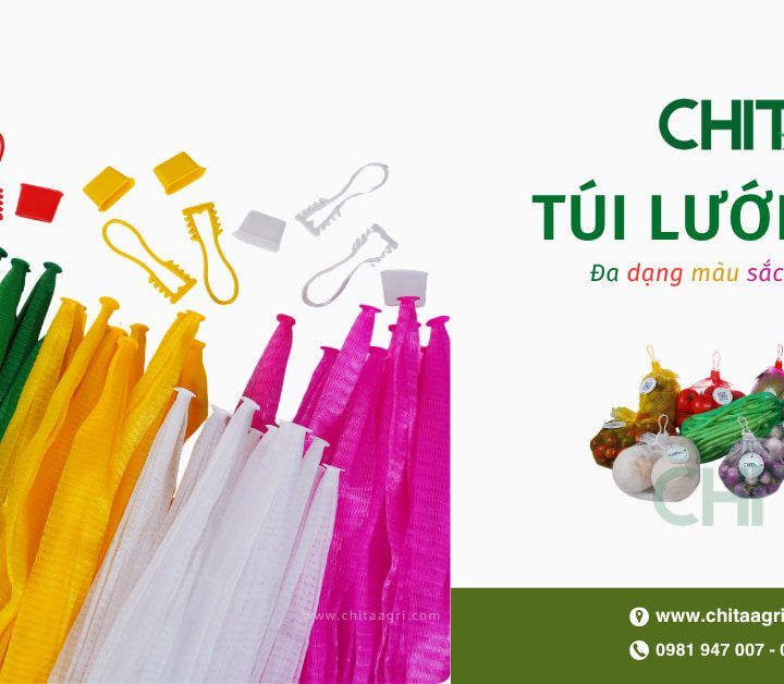Túi lưới nhựa – Lựa chọn tối ưu giúp trái cây tươi lâu, khô ráo và ít bị hư hỏng