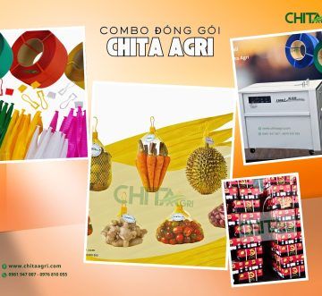Combo đóng gói nông sản: Túi lưới đựng nông sản, dây đai và giải pháp đồng bộ bao bì