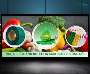 Nhựa Chí Thành BC - công ty sản xuất túi lưới uy tín, cung ứng túi lưới chất lượng cao – giá tốt cho nhà vườn, doanh nghiệp và chuỗi nông sản xuất khẩu.