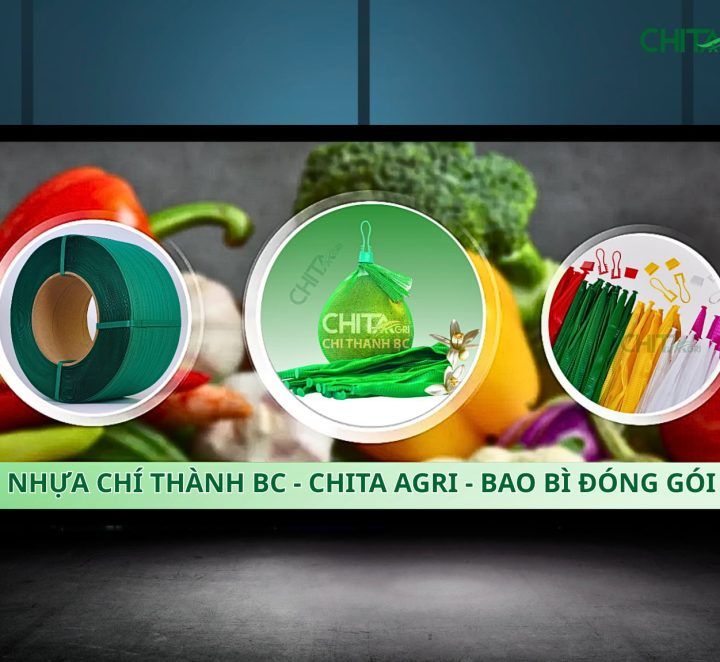Nhựa Chí Thành BC – Đơn Vị Sản Xuất Túi Lưới Đạt Chuẩn Cho Chuỗi Nông Sản Việt