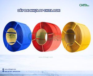 Dây đai nhựa PP Chita Agri – nhiều màu lựa chọn, chịu lực tốt, tối ưu chi phí đóng gói cho doanh nghiệp.