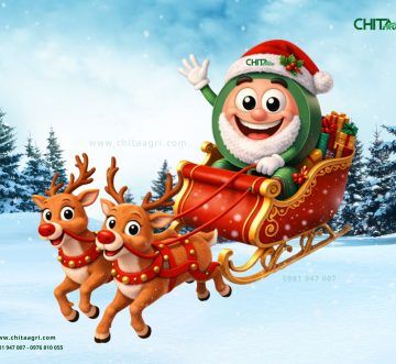 Dây đai nhựa trong vận chuyển mùa cao điểm cuối năm: Những rủi ro thường gặp và cách hạn chế