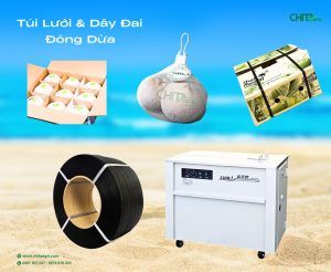 Kết hợp túi lưới đựng dừa và dây đai nhựa PP Chita Agri giúp đóng gói – cố định kiện – vận chuyển dừa an toàn, phù hợp chuẩn xuất khẩu