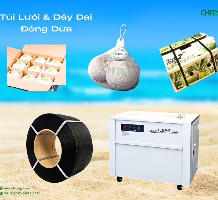 Túi Lưới Đựng Dừa + Dây Đai Chita Agri — Giải Pháp Đóng Gói & Xuất Khẩu Nông Sản Toàn Diện