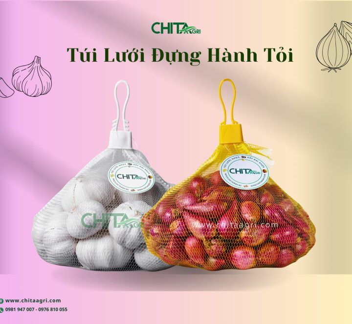 Mua túi lưới đựng hành tỏi ở đâu uy tín? Những tiêu chí cần biết trước khi đặt số lượng lớn