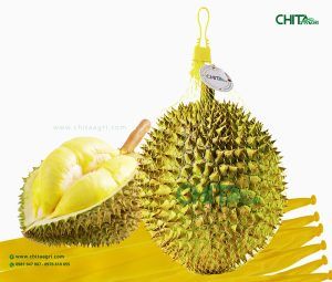 Túi lưới nhựa Chita Agri giúp hàng hóa nổi bật hơn khi trưng bày, tăng tính gọn gàng và chuyên nghiệp tại điểm bán.