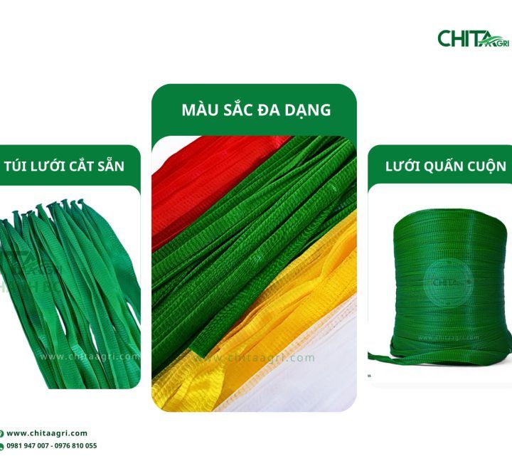 So sánh túi lưới cắt sẵn và lưới quấn cuộn Chita Agri: Khác nhau ở điểm nào?